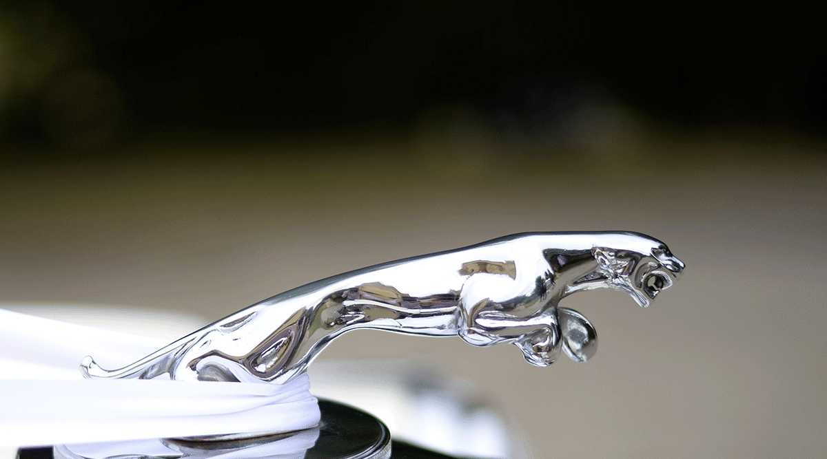 Yarra Valley Classic Cars JC Jags J.C. Jags