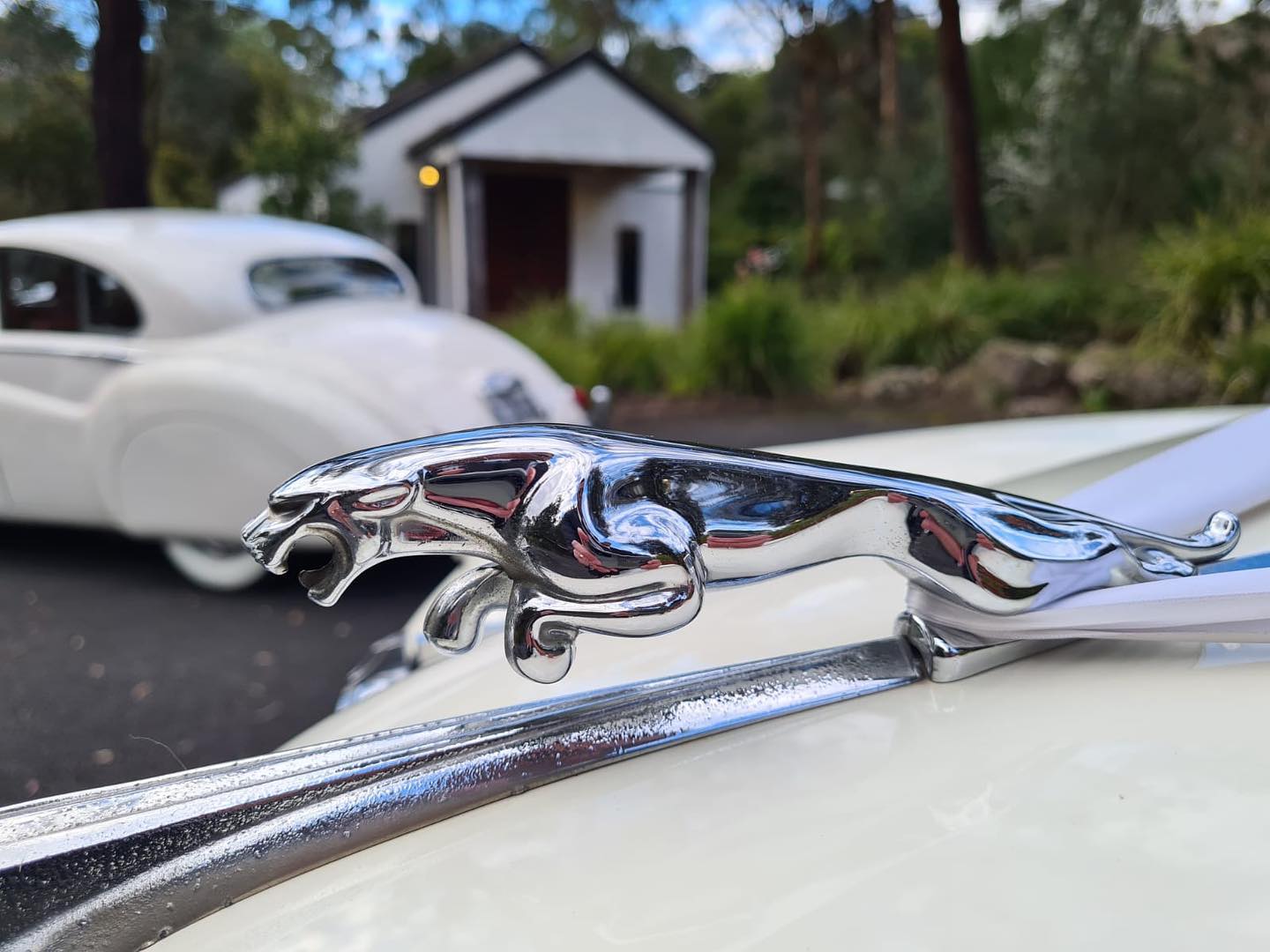 Melbourne Luxury Jaguar Wedding Car Hire